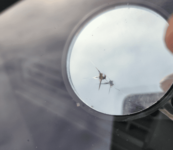 Windscreen Chip Repairs Cambridgeshire